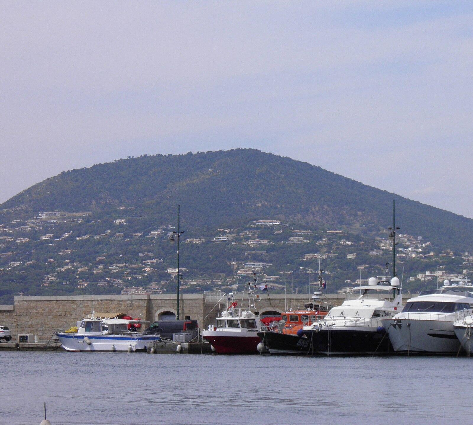 Protein Sources Beyond Meat: A Local Guide to Eating Well in Saint-Tropez
